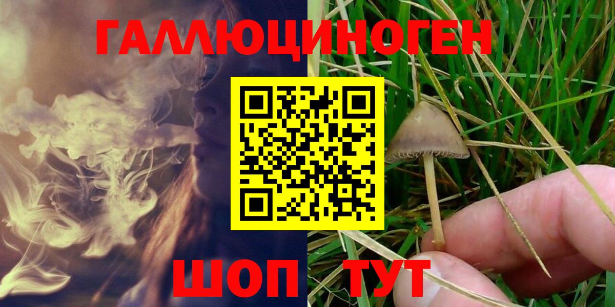 Магадан  закладка  Псилоцибиновые грибы ЛСД  Вход с VPN  Галлюциногенные грибы Psilocybe 